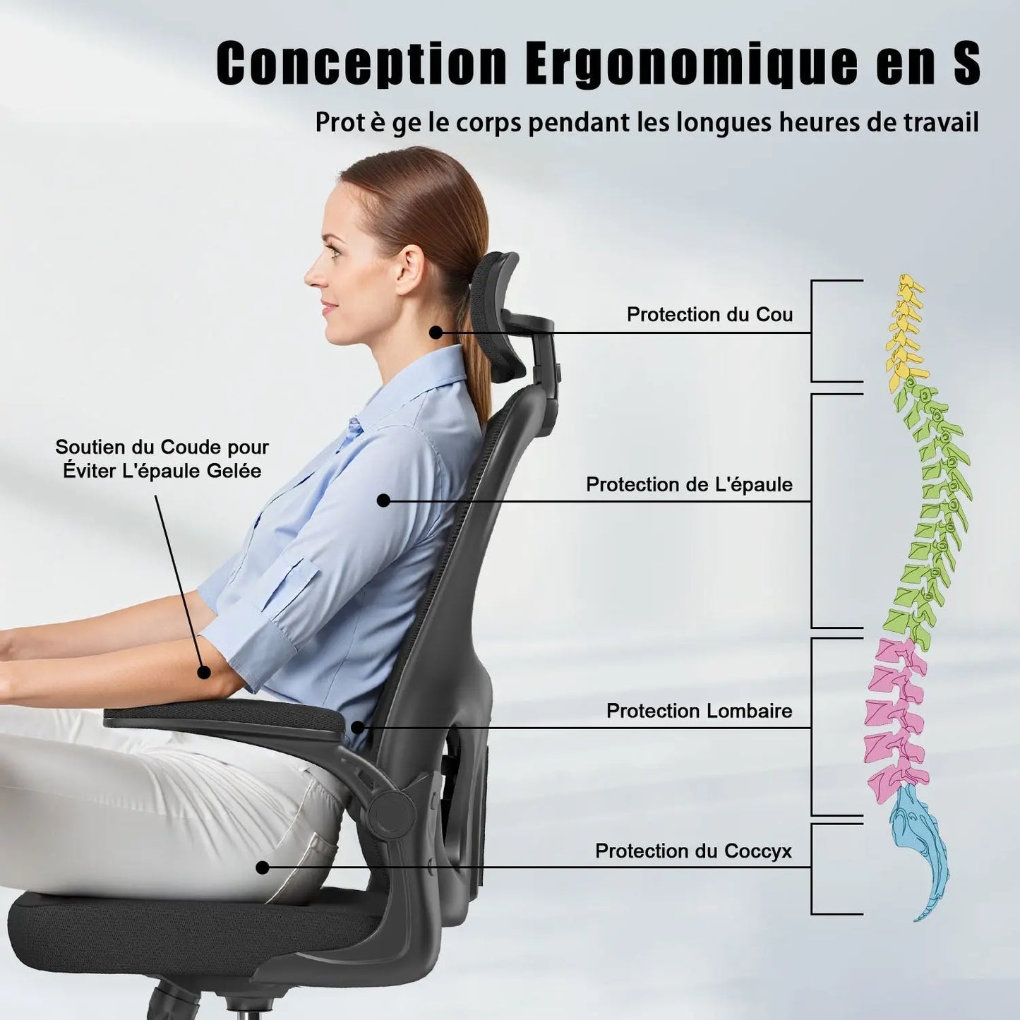 Chaise de Bureau ergonomique C2 ChairLab