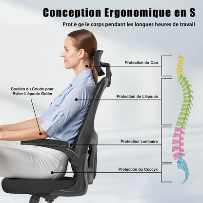 Chaise de Bureau ergonomique C2 ChairLab