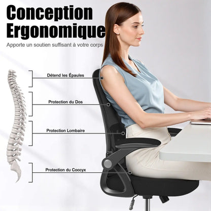 Chaise de Bureau Ergonomique C1 ChairLab